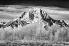 Wyoming, Jackson. Grand Teton NP, Mount Moran and frosted aspen trees on a sunny day at Oxbow Bend Art Print